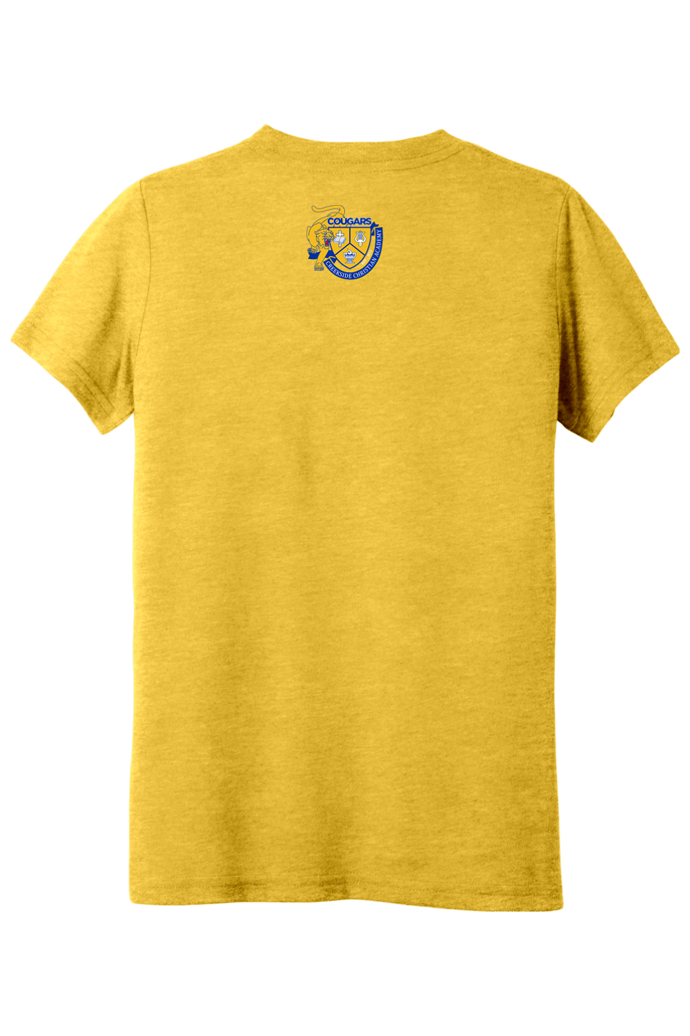 (YOUTH) BELLA+CANVAS Triblend Short Sleeve Tee - Roary #livehispurpose