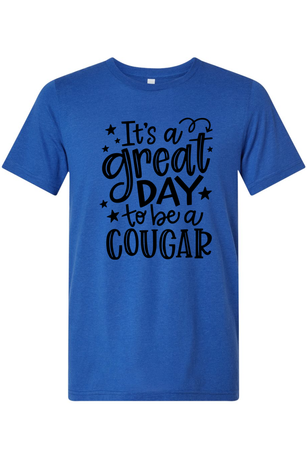 (ADULT) Bella + Canvas Triblend Short Sleeve Tee - Great Day