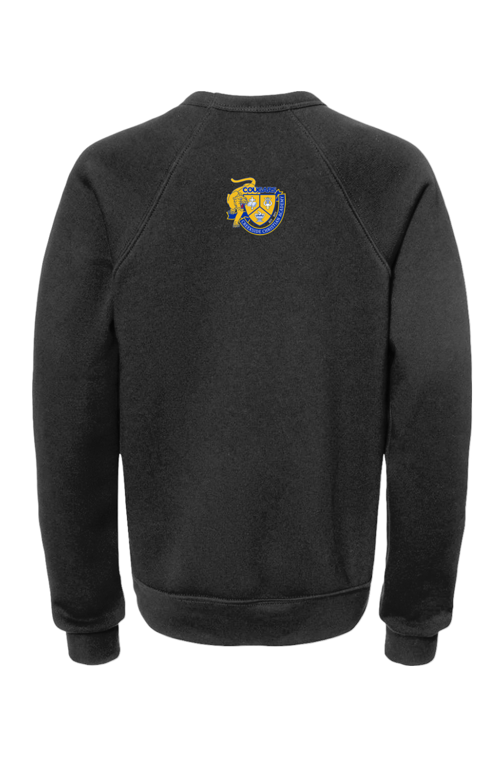 (YOUTH) BELLA + CANVAS Sponge Fleece Crewneck Sweatshirt - A Good Day to Learn