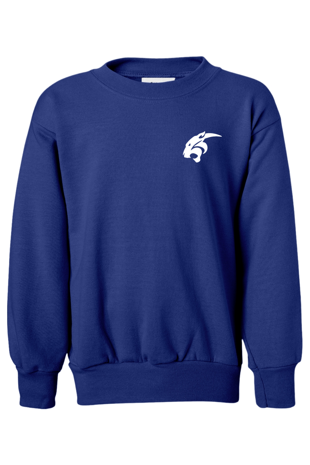 (YOUTH) Hanes Ecosmart Youth Crewneck Sweatshirt - Bass Fishing