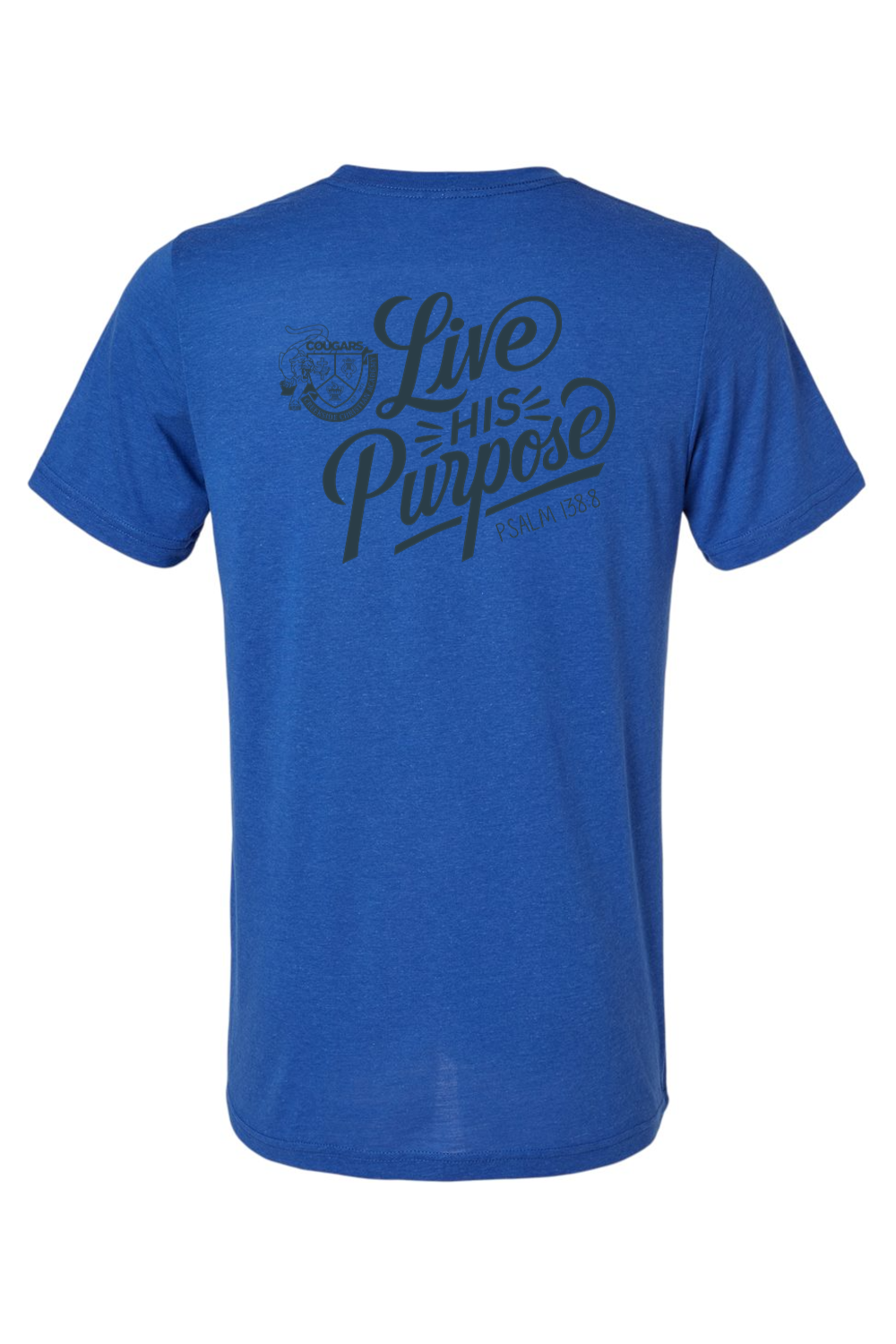 (ADULT) Bella + Canvas Triblend Short Sleeve Tee - Live His Purpose