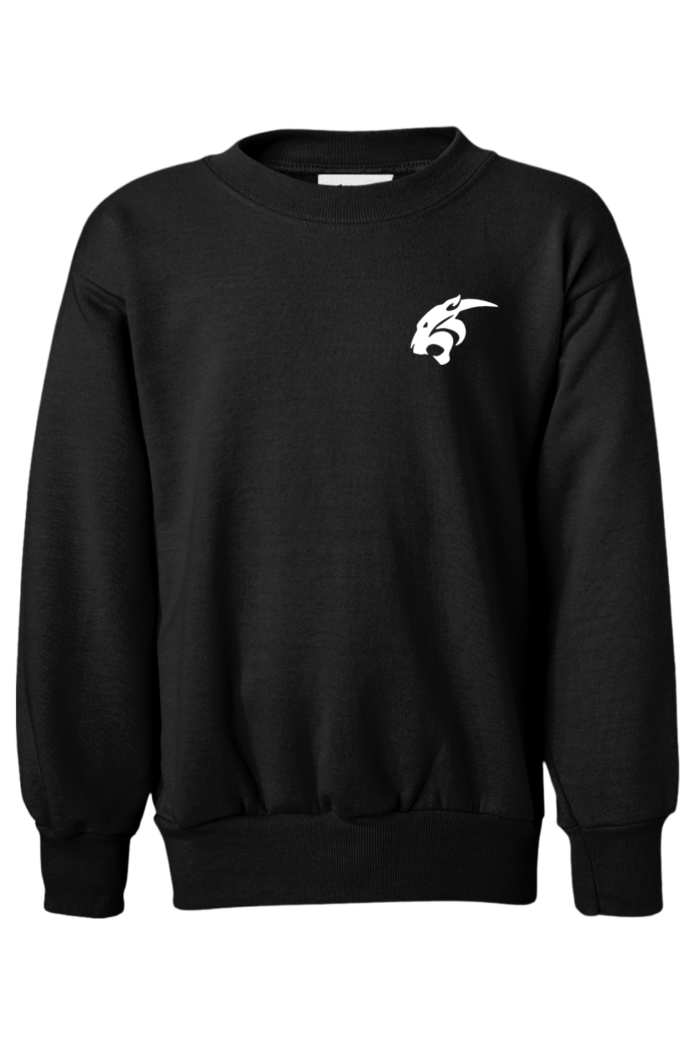 (YOUTH) Hanes Ecosmart Youth Crewneck Sweatshirt - Bass Fishing