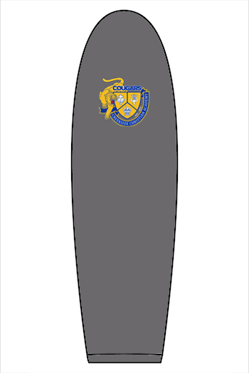 (ADULT) Bella + Canvas Sponge Fleece Hoodie - Engineering