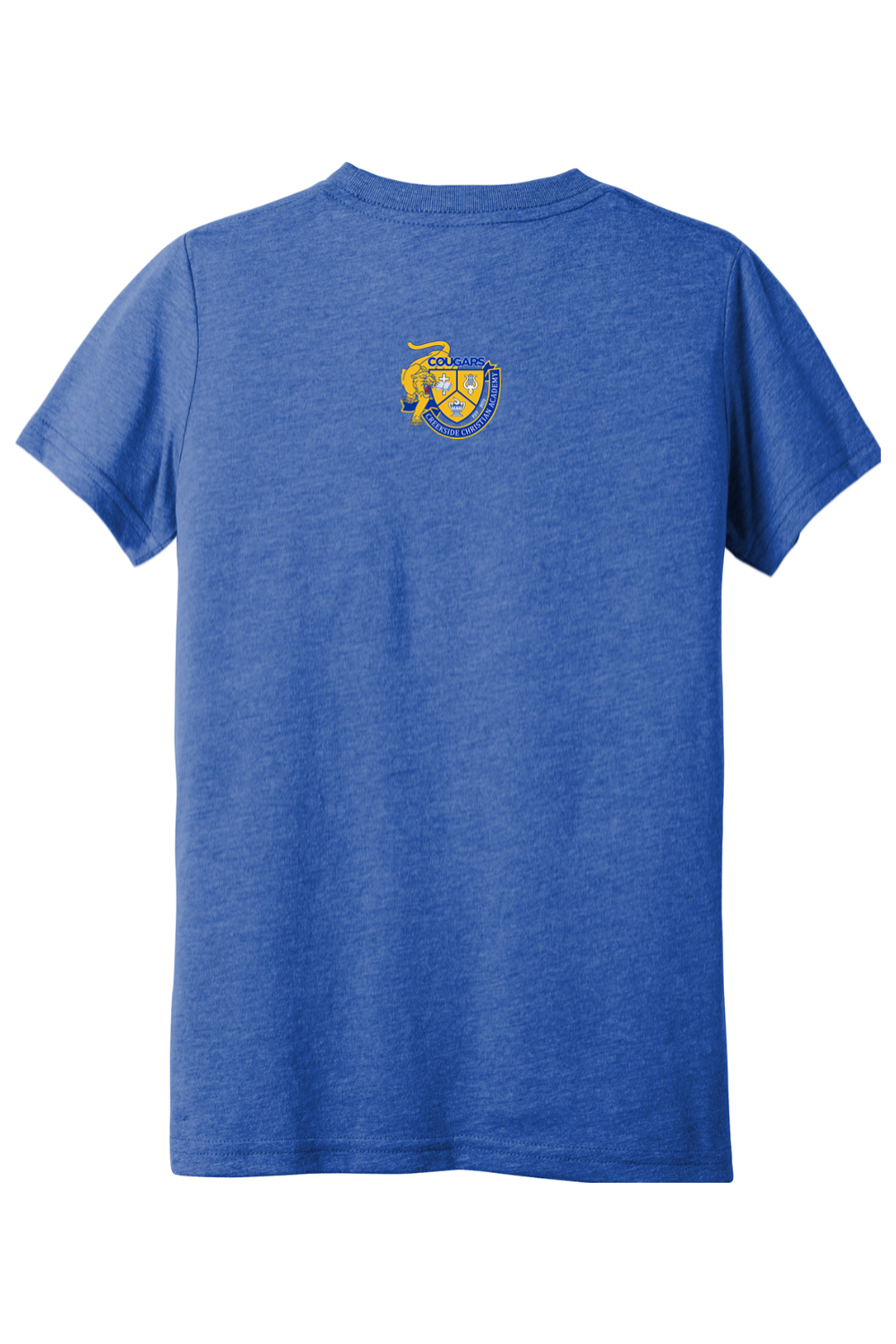 (YOUTH) BELLA+CANVAS Triblend Short Sleeve Tee - Great Day