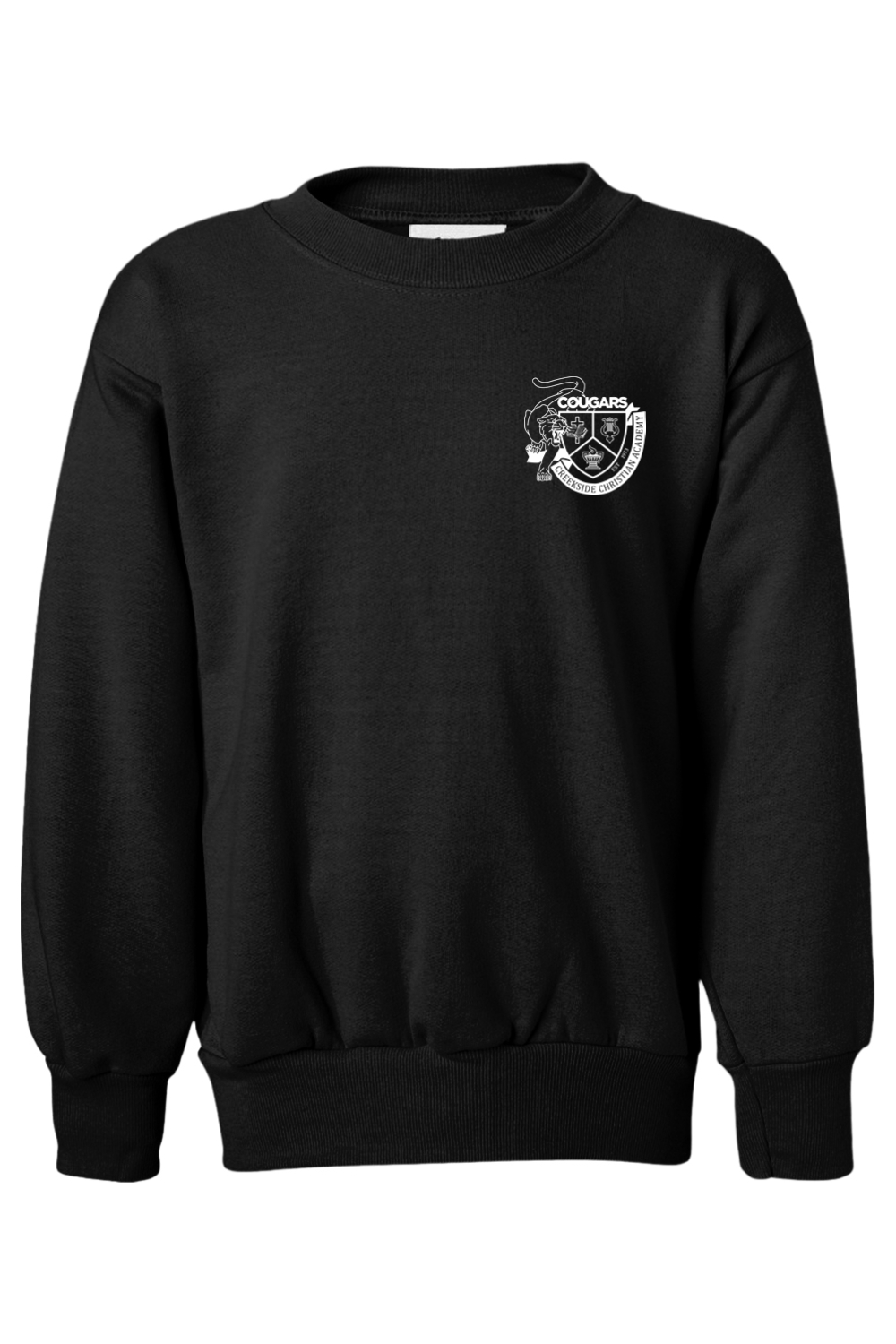 (YOUTH) Hanes Ecosmart Youth Crewneck Sweatshirt - #livehispurpose