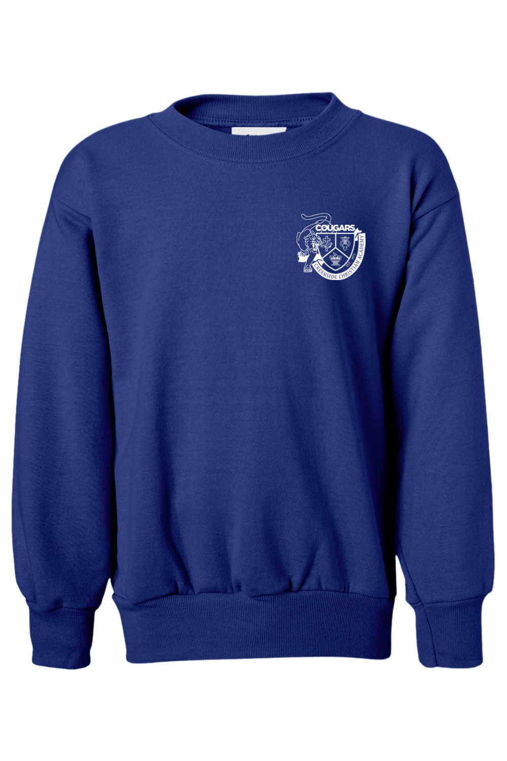 (YOUTH) Hanes Ecosmart Youth Crewneck Sweatshirt - #livehispurpose