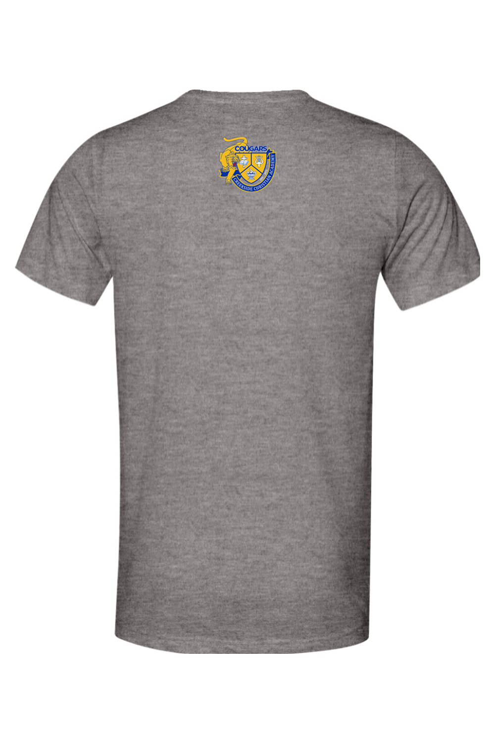 (ADULT) Bella + Canvas Triblend Short Sleeve Tee - Created With a Purpose