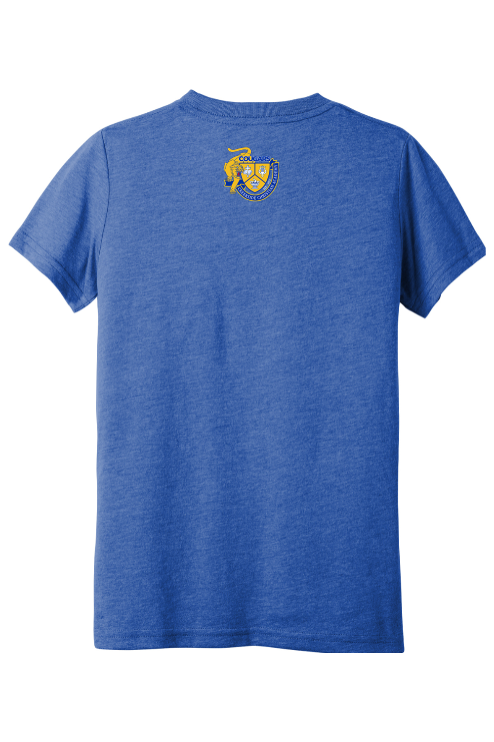 (YOUTH) BELLA+CANVAS Triblend Short Sleeve Tee - Created With a Purpose