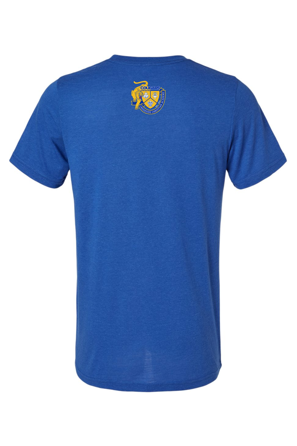 (ADULT) Bella + Canvas Triblend Short Sleeve Tee - A Good Day to Learn