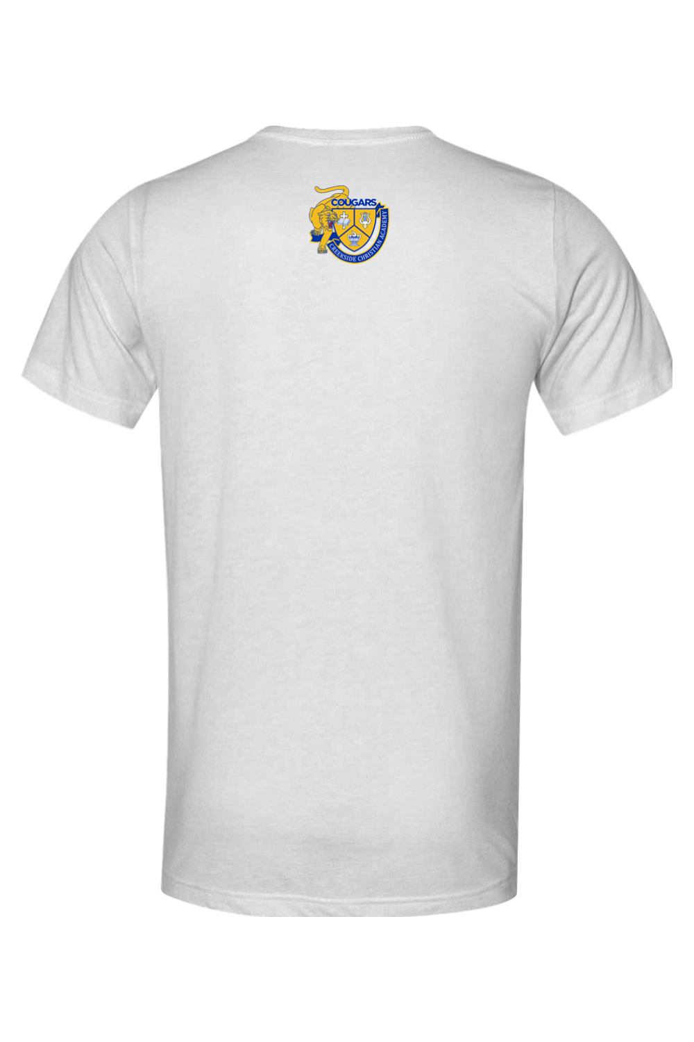 (ADULT) Bella + Canvas Triblend Short Sleeve Tee - Good Day to Learn