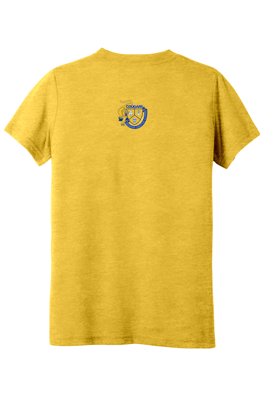 (YOUTH) BELLA+CANVAS Triblend Short Sleeve Tee - Great Day
