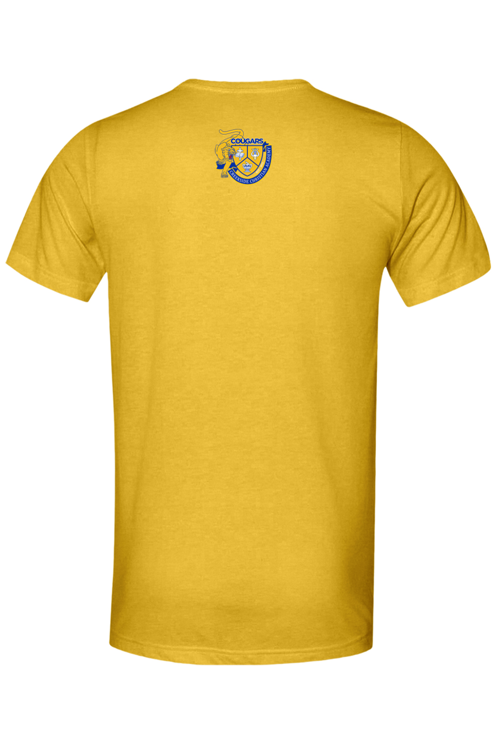 (ADULT) Bella + Canvas Triblend Short Sleeve Tee - Roary Prayer