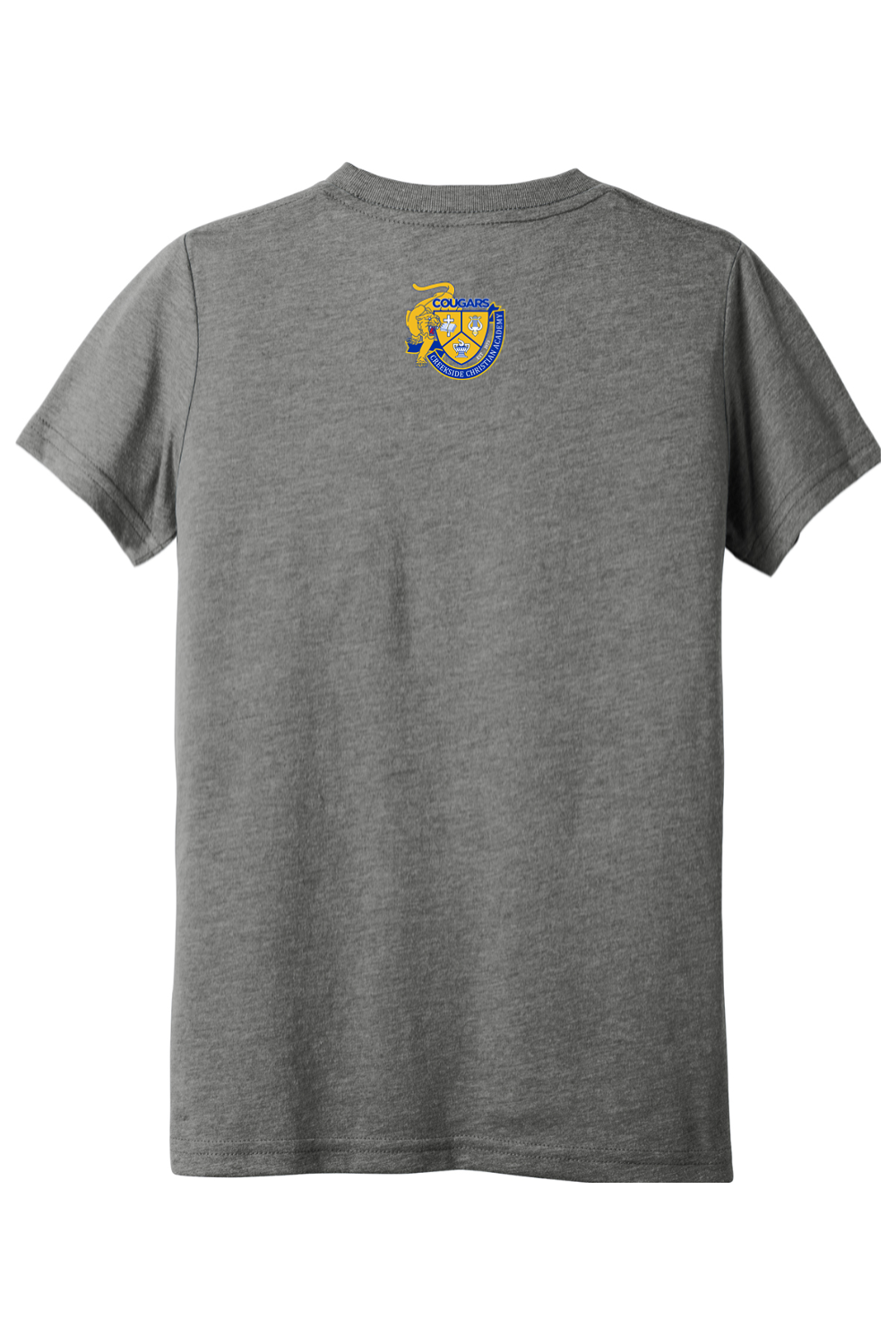 (YOUTH) BELLA+CANVAS Triblend Short Sleeve Tee - A Good Day to Learn