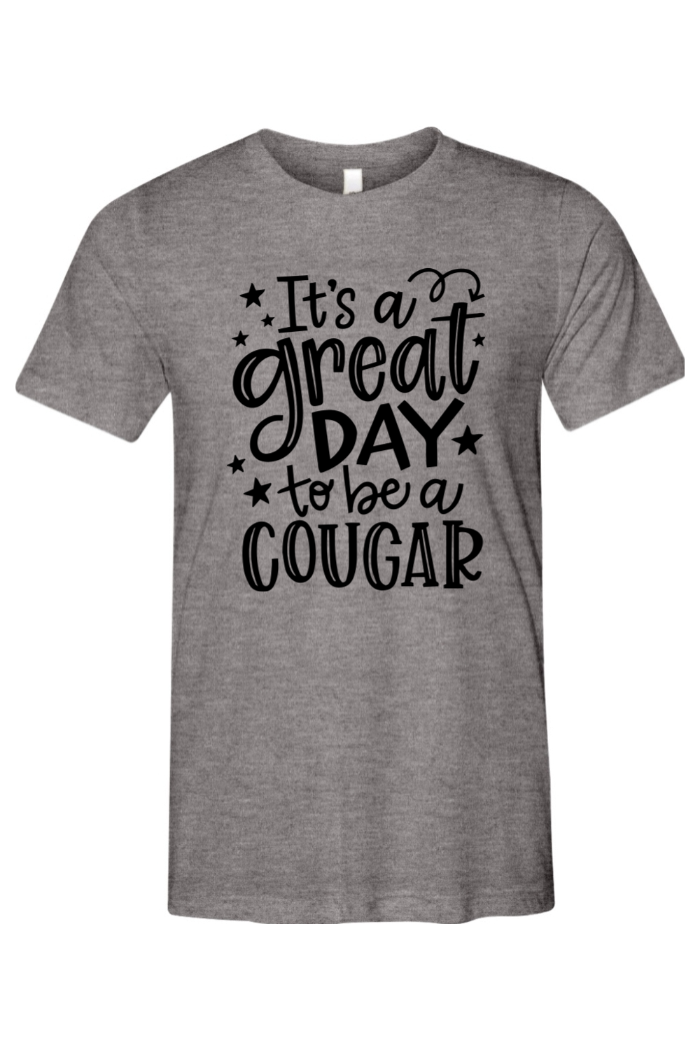 (ADULT) Bella + Canvas Triblend Short Sleeve Tee - Great Day