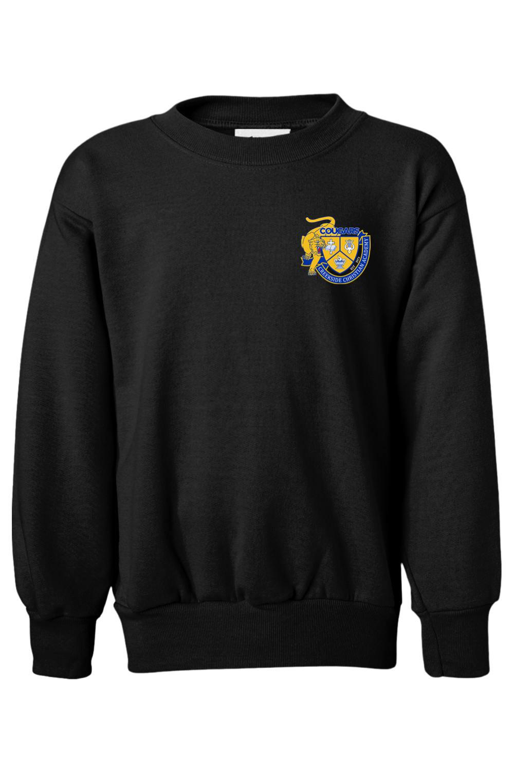 (YOUTH) Hanes Ecosmart Youth Crewneck Sweatshirt - Child of God
