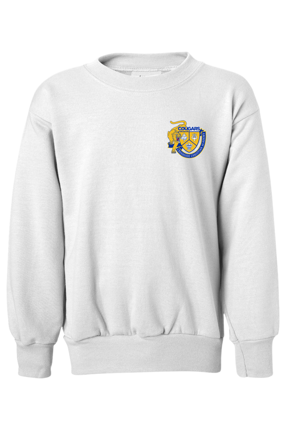 (YOUTH) Hanes Ecosmart Youth Crewneck Sweatshirt - Game Design