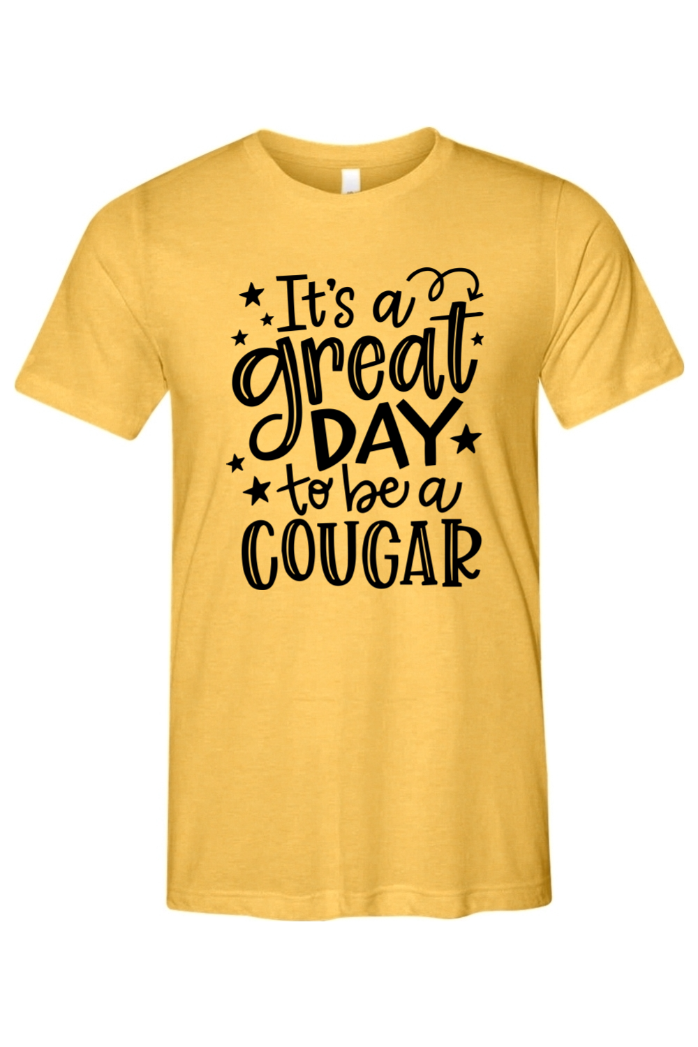 (ADULT) Bella + Canvas Triblend Short Sleeve Tee - Great Day