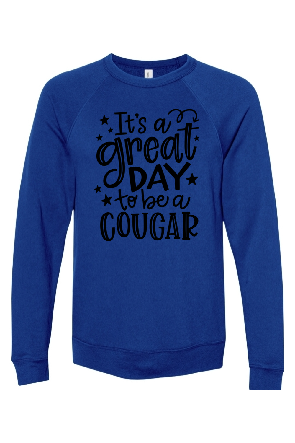 (ADULT) Bella + Canvas Sponge Fleece Raglan Crewneck Sweatshirt - Great Day