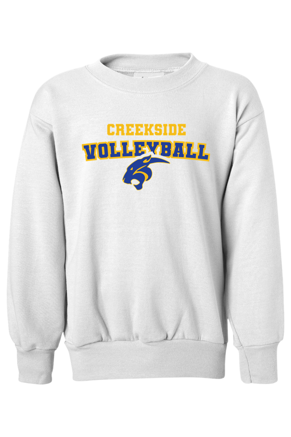 (YOUTH) Hanes Ecosmart Youth Crewneck Sweatshirt - Volleyball