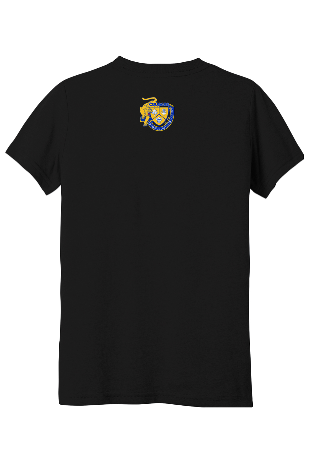 (YOUTH) BELLA+CANVAS Triblend Short Sleeve Tee - A Good Day to Learn