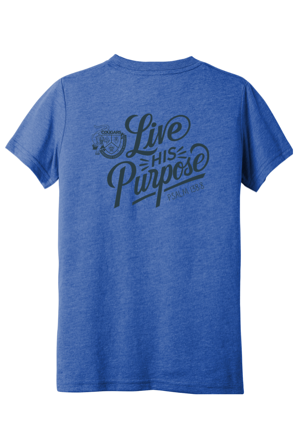 (YOUTH) BELLA+CANVAS Triblend Short Sleeve Tee - Live His Purpose