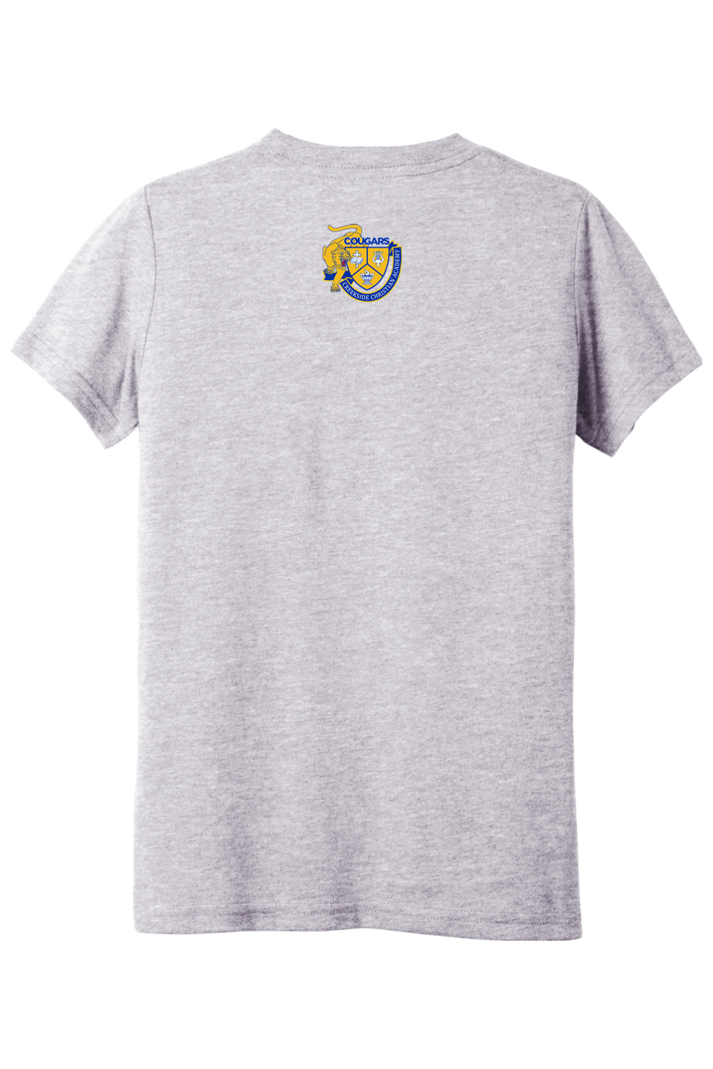 (YOUTH) BELLA+CANVAS Triblend Short Sleeve Tee - A Good Day to Learn