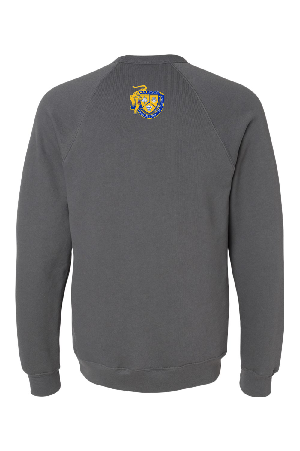 (ADULT) Bella + Canvas Sponge Fleece Raglan Crewneck Sweatshirt - A Good Day to Learn