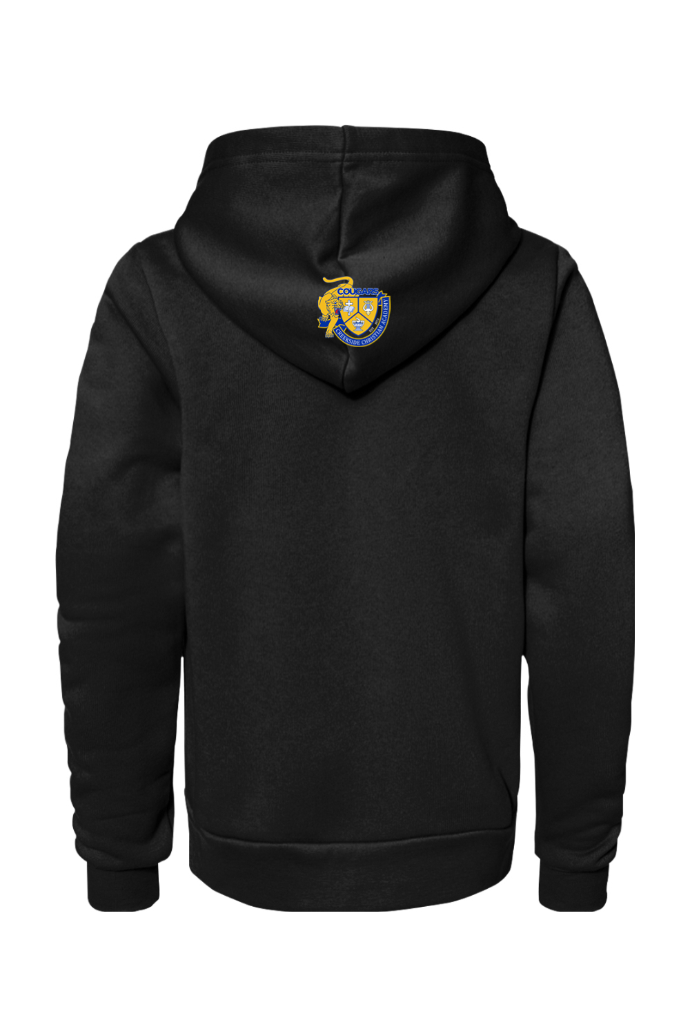 (YOUTH) Bella + Canvas Sponge Fleece Pullover Hoodie - A Good Day to Learn