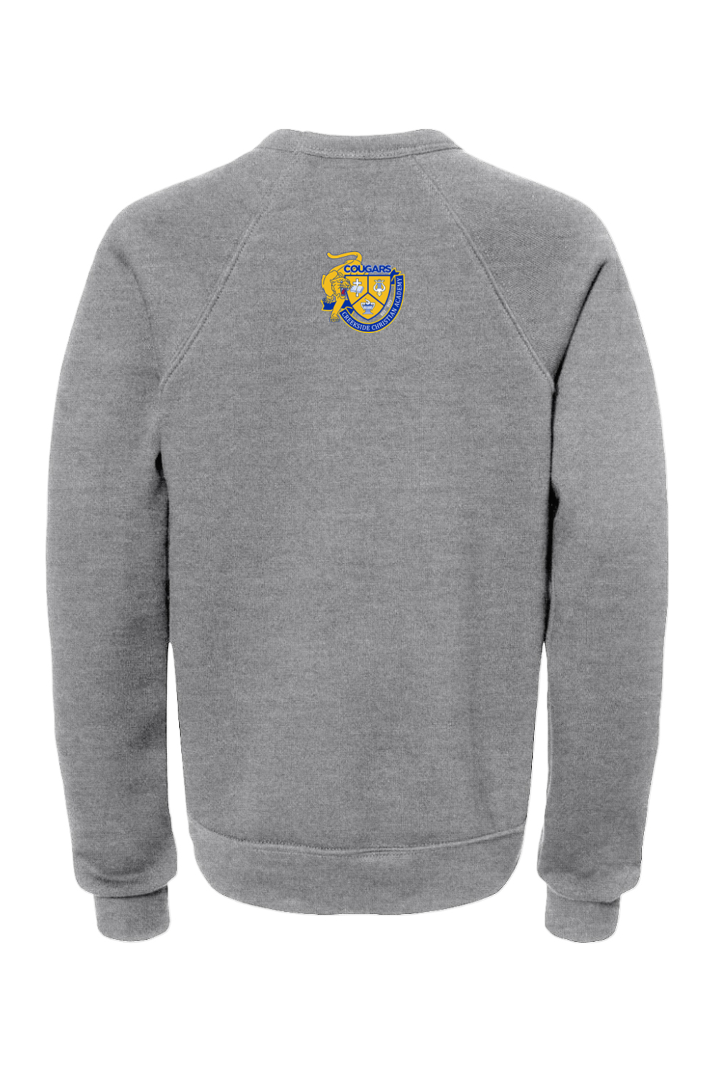 (YOUTH) BELLA + CANVAS Sponge Fleece Crewneck Sweatshirt - A Good Day to Learn