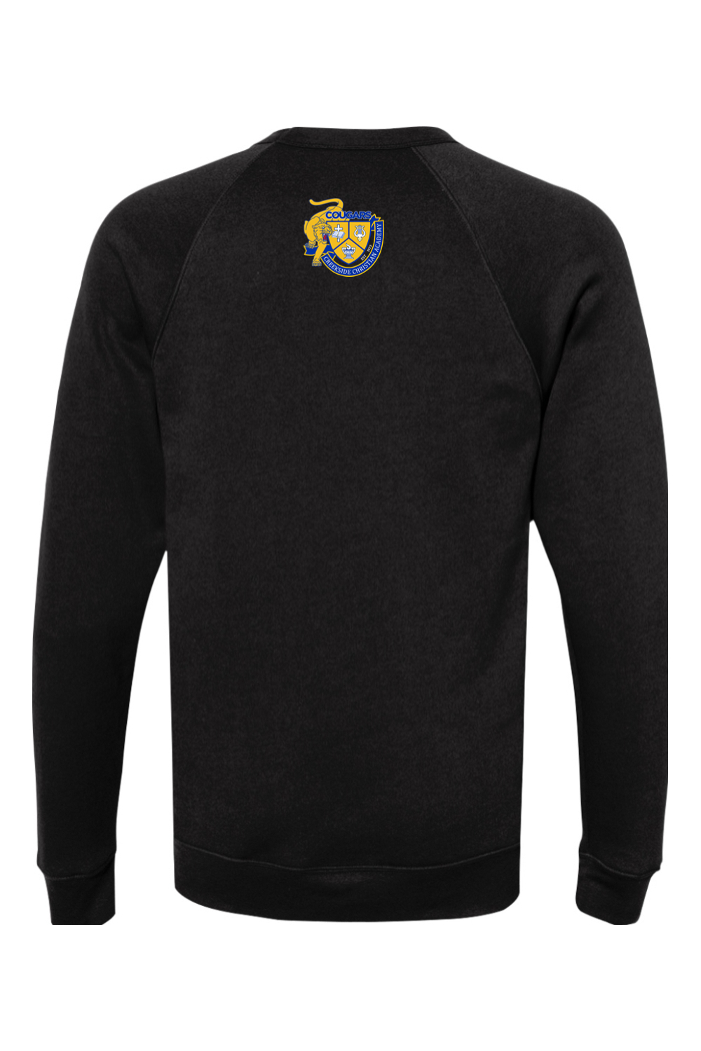 (ADULT) Bella + Canvas Sponge Fleece Raglan Crewneck Sweatshirt - A Good Day to Learn