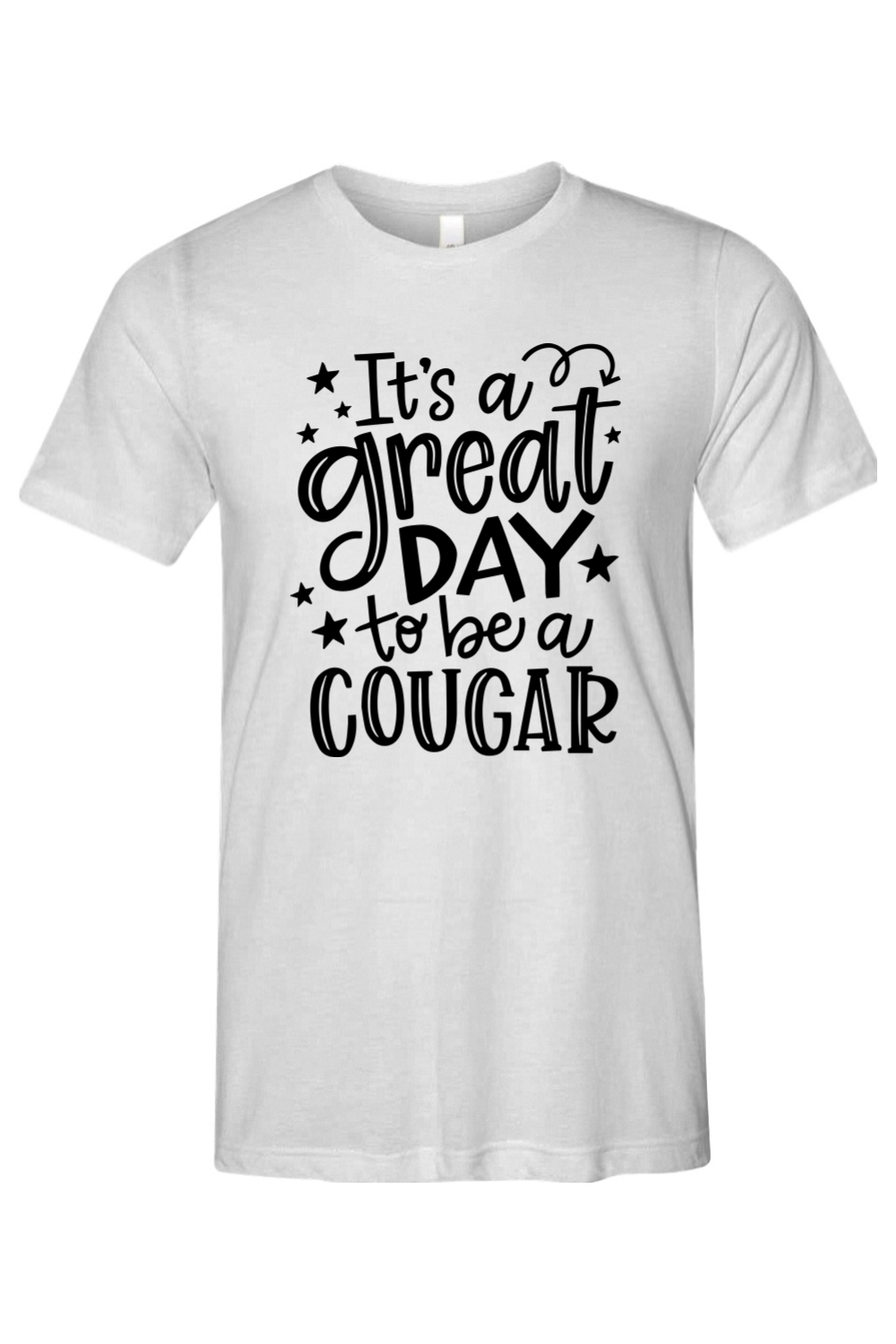 (ADULT) Bella + Canvas Triblend Short Sleeve Tee - Great Day