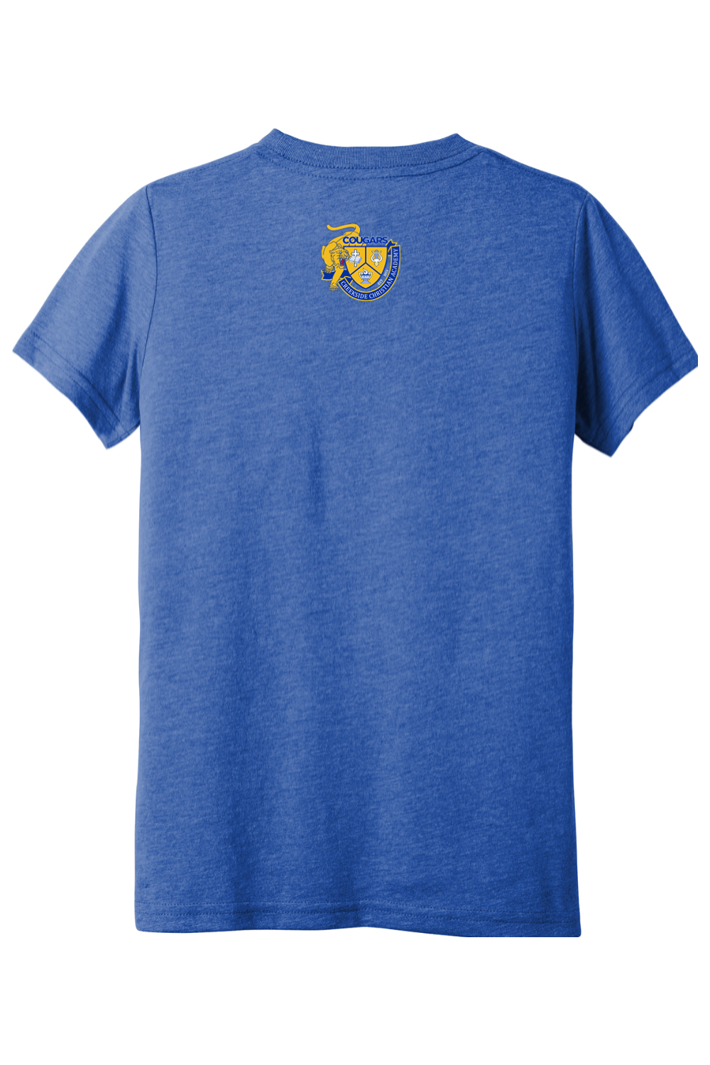 (YOUTH) BELLA+CANVAS Triblend Short Sleeve Tee - A Good Day to Learn