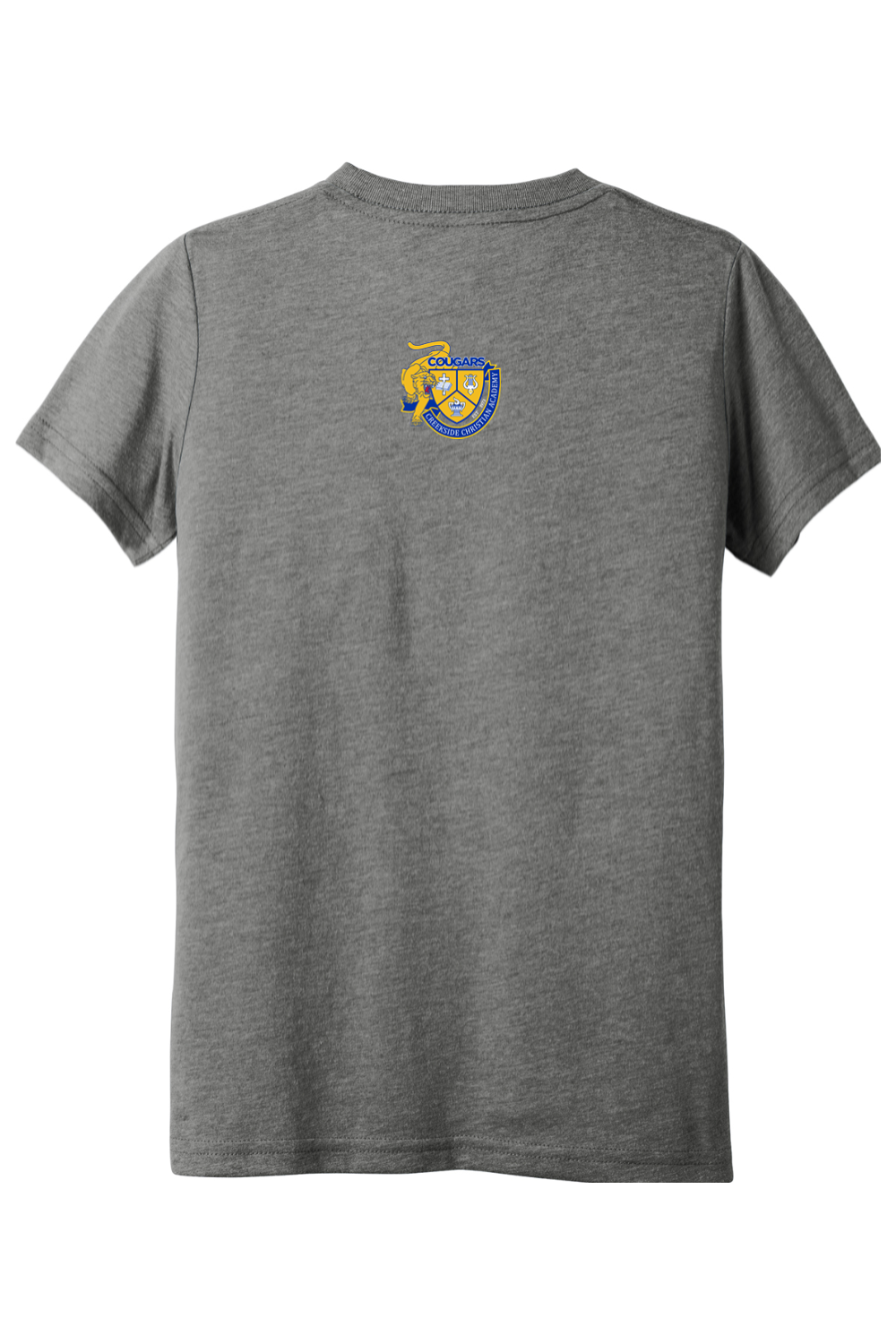 (YOUTH) BELLA+CANVAS Triblend Short Sleeve Tee - Great Day