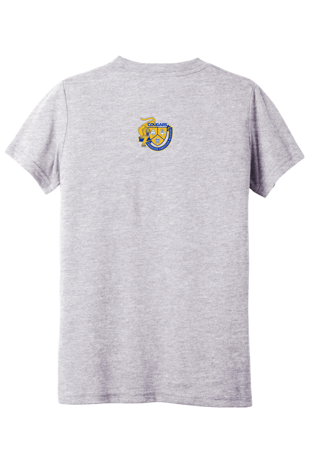 (YOUTH) BELLA+CANVAS Triblend Short Sleeve Tee - Great Day